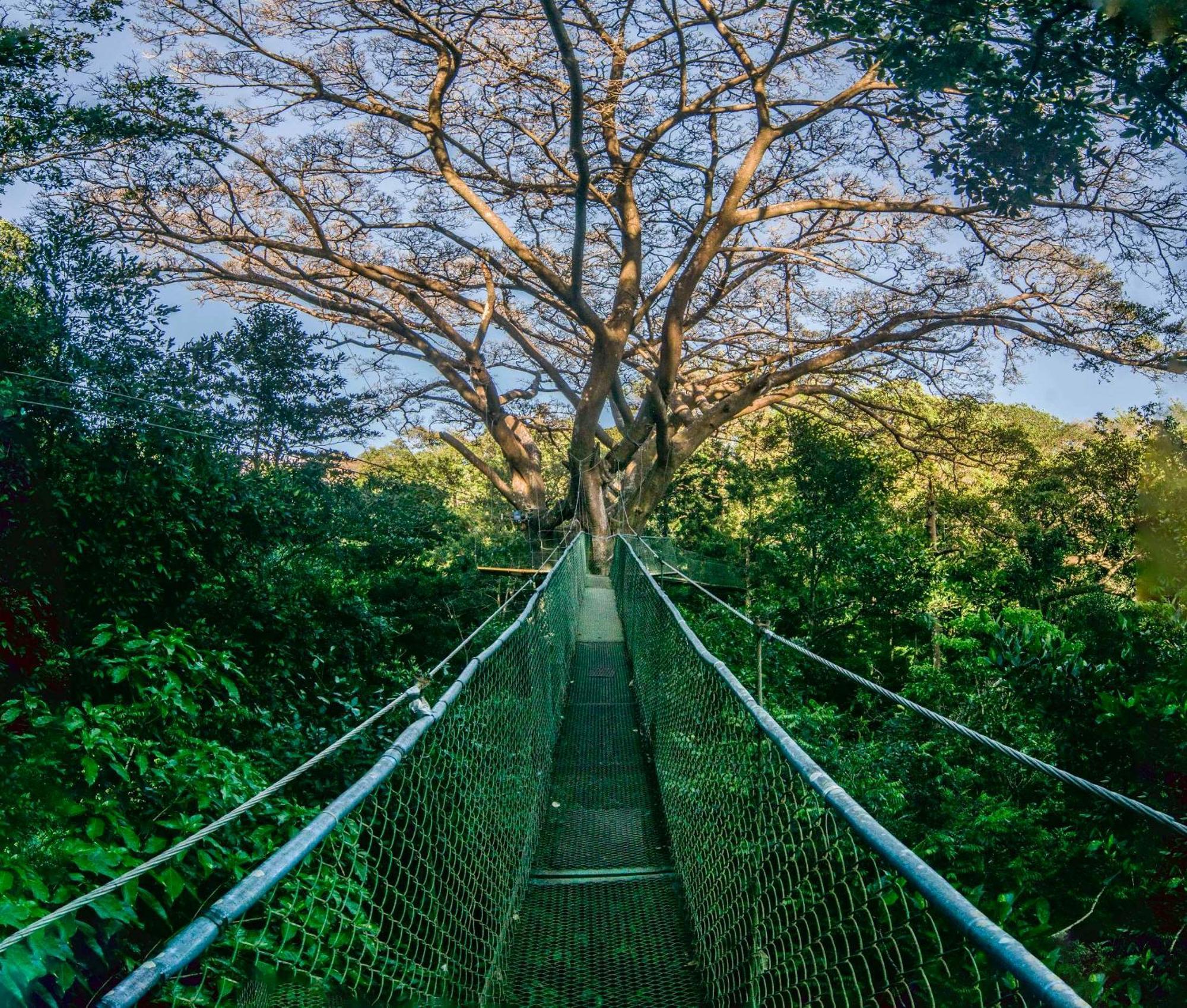 Buena Vista Del Rincon Eco Adventure Park Hotel & Spa Liberia Eksteriør bilde