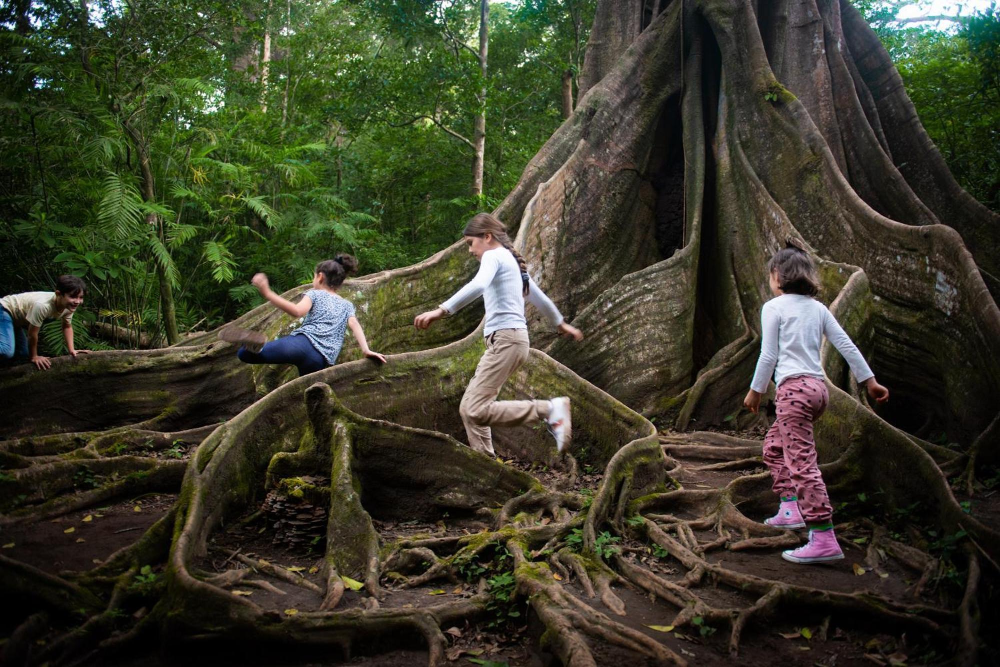 Buena Vista Del Rincon Eco Adventure Park Hotel & Spa Liberia Eksteriør bilde