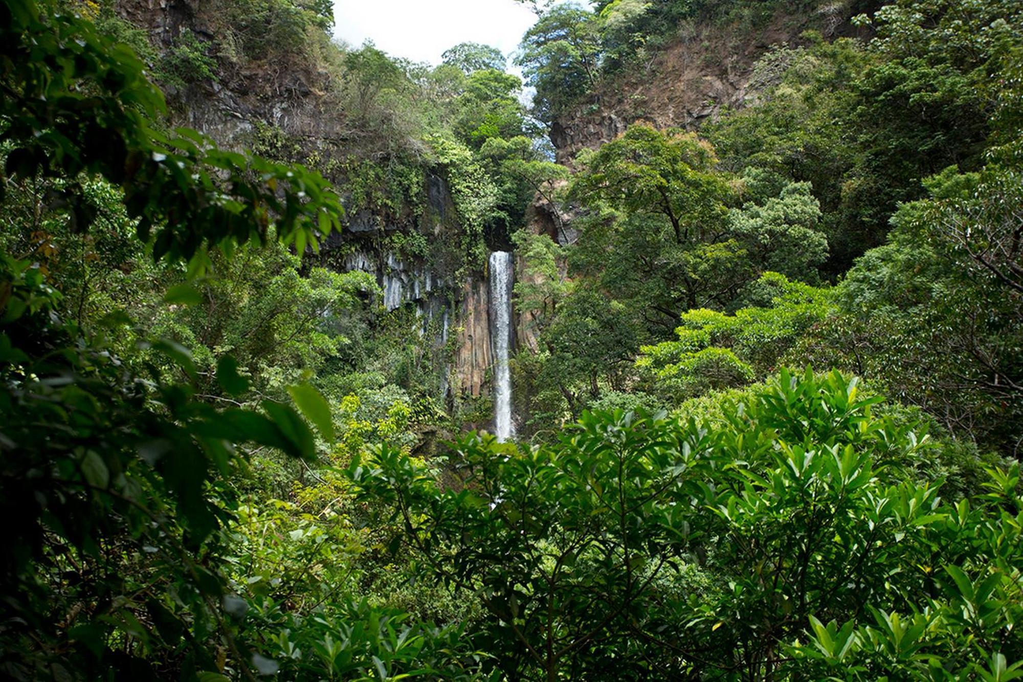 Buena Vista Del Rincon Eco Adventure Park Hotel & Spa Liberia Eksteriør bilde